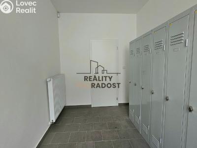 Pronájem komerční nemovitosti Hodonín, Kolískova č. 14