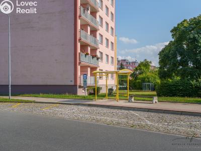 Аренда квартиры 2+1 Cheb, Matěje Kopeckého č. 22
