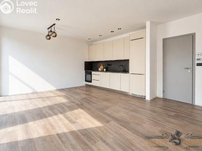 Продаж квартири 3+KK Svitavy, Svitavská č. 1