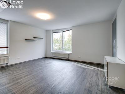 Rent apartment 2+KK Praha, Kostomlatská č. 3