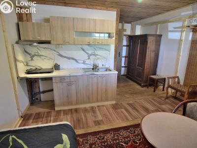 Rent apartment 1+KK Čisovice č. 1