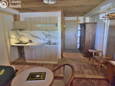 Rent apartment 1+KK Čisovice č. 8