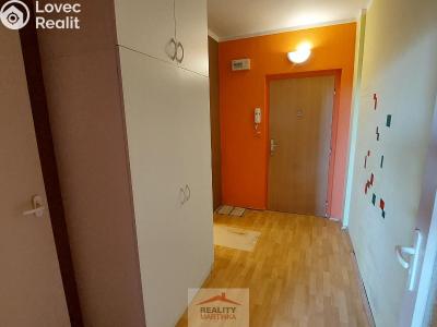 Rent apartment 1+KK Valašské Meziříčí, Luční č. 7