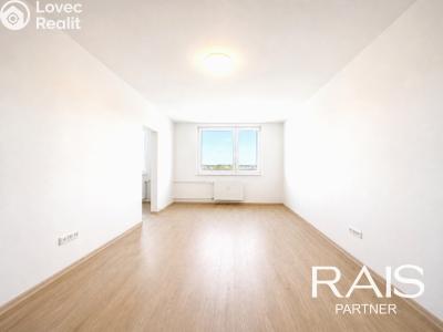Продажа квартиры 3+1 Hustopeče, Na Hradbách 1423 č. 14