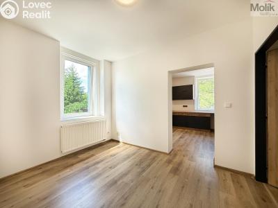Pronájem bytu 2+1 Háj u Duchcova, Kubátova 35 č. 4