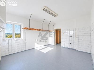 Продажа семейного дома Velká Polom, Sadová 281 č. 14
