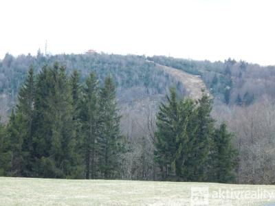 Sale hut Moldava č. 20