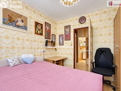 Продажа квартиры 3+1 Neratovice, Na Výsluní č. 14