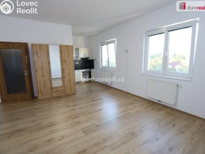 Rent apartment 1+KK Mariánské Lázně, Tepelská č. 1