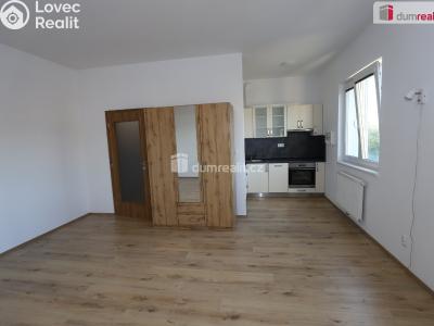 Rent apartment 1+KK Mariánské Lázně, Tepelská č. 2