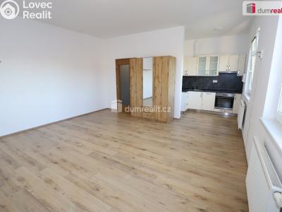 Rent apartment 1+KK Mariánské Lázně, Tepelská č. 3
