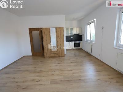 Rent apartment 1+KK Mariánské Lázně, Tepelská č. 5