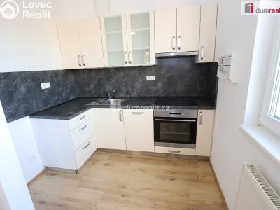 Rent apartment 1+KK Mariánské Lázně, Tepelská č. 6