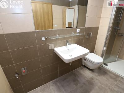 Rent apartment 1+KK Mariánské Lázně, Tepelská č. 14