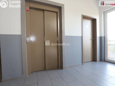 Rent apartment 1+KK Mariánské Lázně, Tepelská č. 15