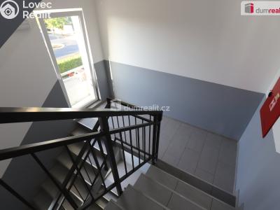 Rent apartment 1+KK Mariánské Lázně, Tepelská č. 16