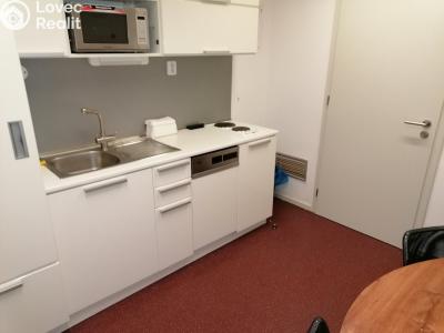 Rent apartment 1+KK Pardubice, Smilova 317 č. 8
