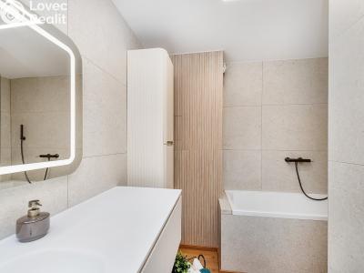 Продажа квартиры 4+KK Benešov, Jiřího Franka č. 5