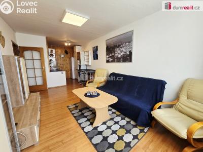 Rent apartment 2+KK Brandýs nad Labem-Stará Boleslav, V olšinkách č. 10