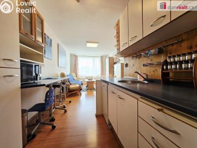 Rent apartment 2+KK Brandýs nad Labem-Stará Boleslav, V olšinkách č. 13