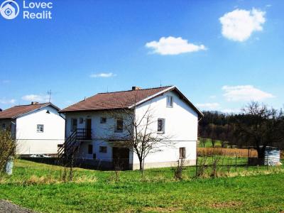 Rent family house Dolní Hořice č. 5