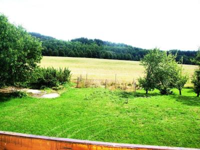 Rent family house Dolní Hořice č. 7