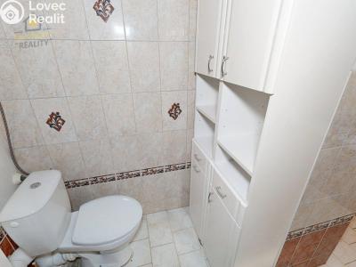 Prodej chalupy Sobotka č. 23