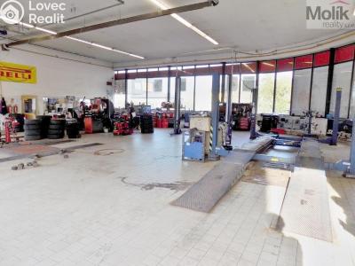 Prodej výrobní haly Teplice, U pivovaru 3364 č. 3