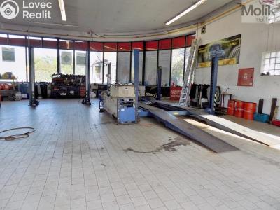 Prodej výrobní haly Teplice, U pivovaru 3364 č. 15