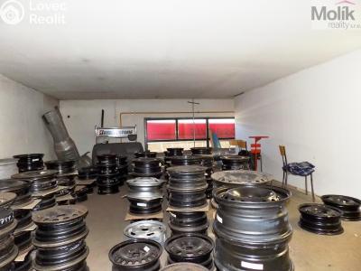 Prodej výrobní haly Teplice, U pivovaru 3364 č. 25
