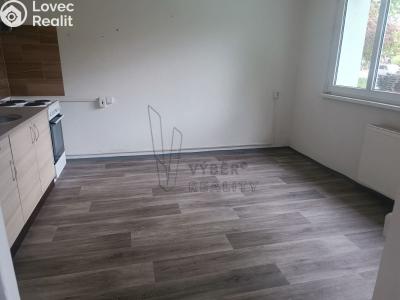 Pronájem bytu 3+KK Bílina, Teplická č. 1