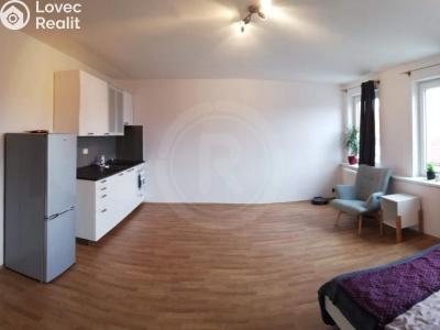 Оренда квартири 1+KK České Budějovice, Fráni Šrámka č. 1