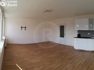 Оренда квартири 1+KK České Budějovice, Fráni Šrámka č. 2