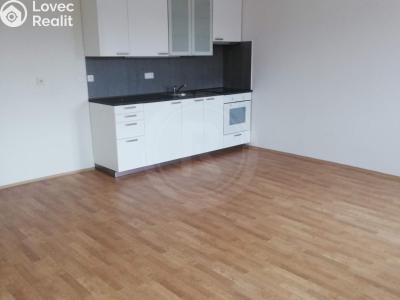 Оренда квартири 1+KK České Budějovice, Fráni Šrámka č. 3