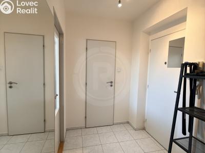 Оренда квартири 1+KK České Budějovice, Fráni Šrámka č. 6