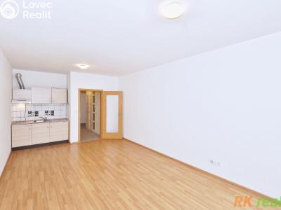 Pronájem bytu 1+KK Praha, V Horkách č. 7