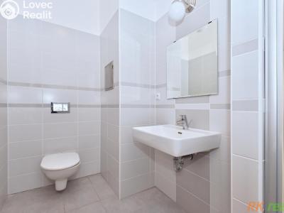 Pronájem bytu 1+KK Praha, V Horkách č. 12