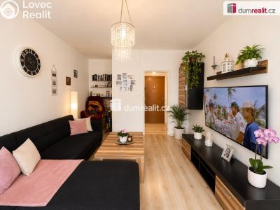 Pronájem bytu 3+1 Ústí nad Labem, Hoření č. 4