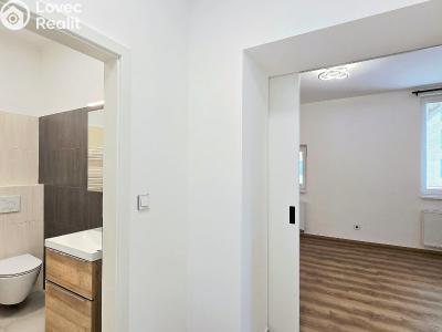 Rent apartment 2+KK Beroun, Na Parkáně č. 6