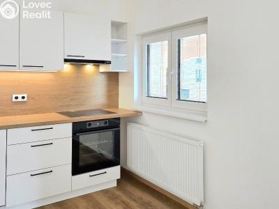 Rent apartment 2+KK Beroun, Na Parkáně č. 8