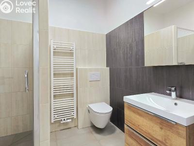 Rent apartment 2+KK Beroun, Na Parkáně č. 6