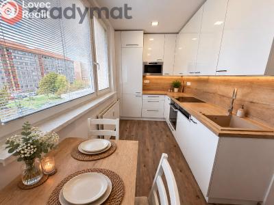Rent apartment 3+1 Hodonín, Jižní č. 1