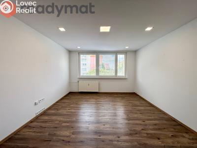 Rent apartment 3+1 Hodonín, Jižní č. 3