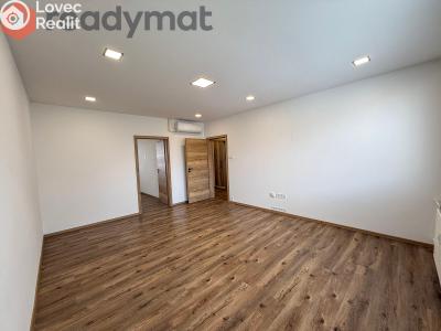 Rent apartment 3+1 Hodonín, Jižní č. 4