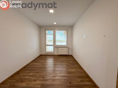 Rent apartment 3+1 Hodonín, Jižní č. 6