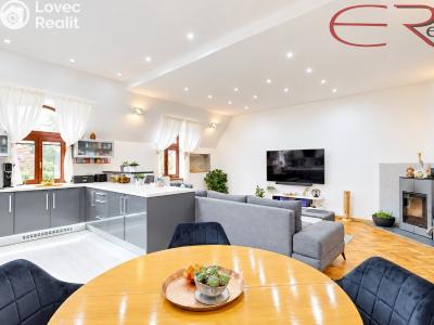 Sale atypical apartment Liberec, Klostermannova č. 28