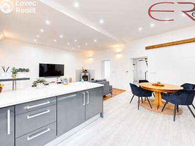 Sale atypical apartment Liberec, Klostermannova č. 5