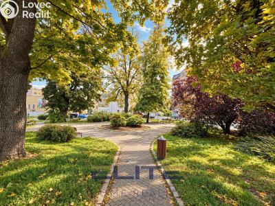 Pronájem bytu 1+KK Jablonec nad Nisou, Anenské náměstí č. 16