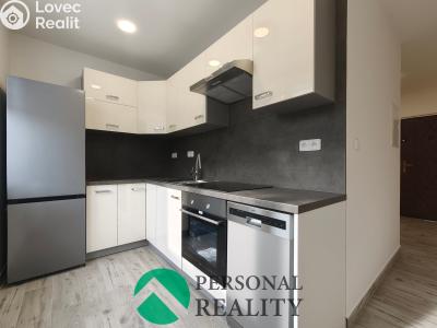 Rent apartment 2+1 Karlovy Vary, Modenská č. 1
