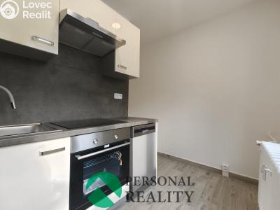 Rent apartment 2+1 Karlovy Vary, Modenská č. 4